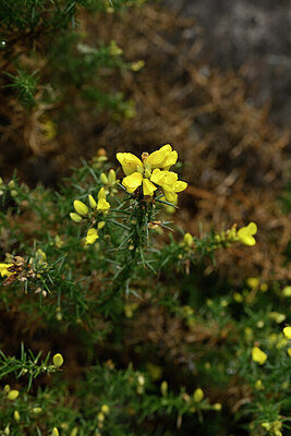 BUITEN BEELD Foto: 446856