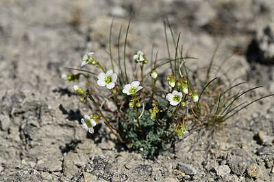 BUITEN BEELD Foto: 446857