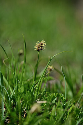 BUITEN BEELD Foto: 446860