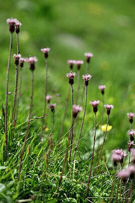 BUITEN BEELD Foto: 446861