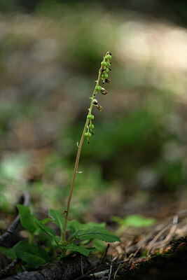 BUITEN BEELD Foto: 446864