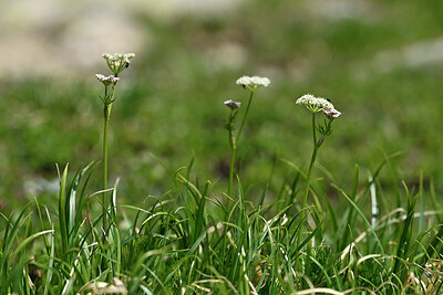 BUITEN BEELD Foto: 446871