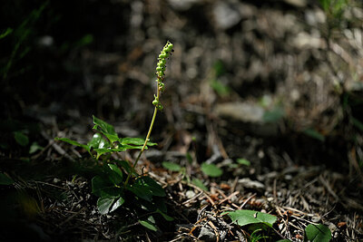 BUITEN BEELD Foto: 446880