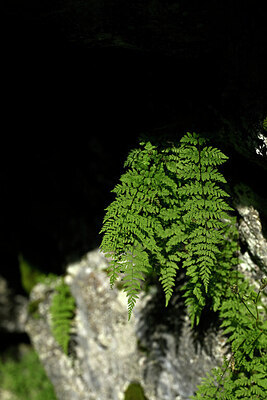 BUITEN BEELD Foto: 446884