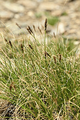 BUITEN BEELD Foto: 446886
