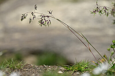 BUITEN BEELD Foto: 446888