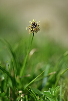 BUITEN BEELD Foto: 446895