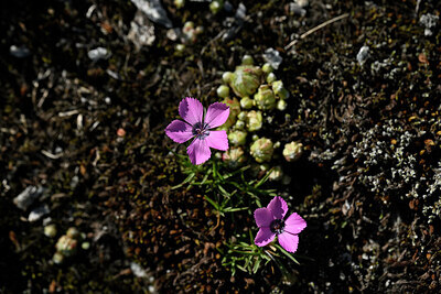 BUITEN BEELD Foto: 446905