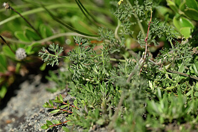 BUITEN BEELD Foto: 446906