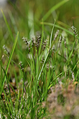 BUITEN BEELD Foto: 446908