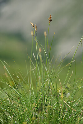 BUITEN BEELD Foto: 446912