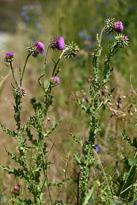 BUITEN BEELD Foto: 446915