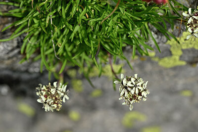 BUITEN BEELD Foto: 446927
