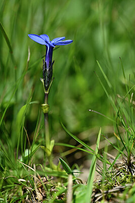 BUITEN BEELD Foto: 446942