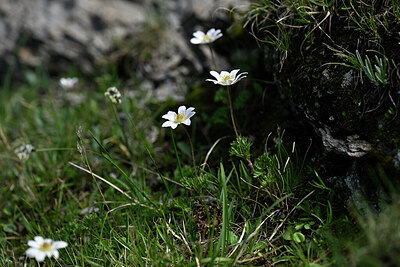 BUITEN BEELD Foto: 446944