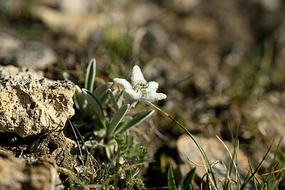 BUITEN BEELD Foto: 446945