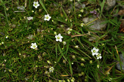 BUITEN BEELD Foto: 446947