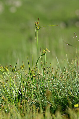 BUITEN BEELD Foto: 446956