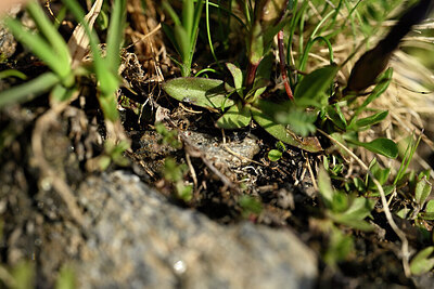 BUITEN BEELD Foto: 446958