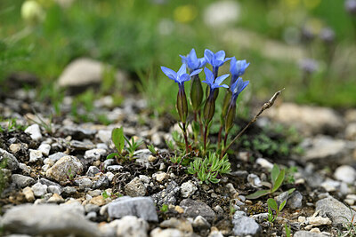 BUITEN BEELD Foto: 446962