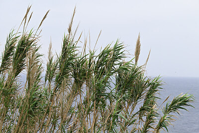 BUITEN BEELD Foto: 446970