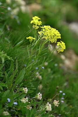 BUITEN BEELD Foto: 446972