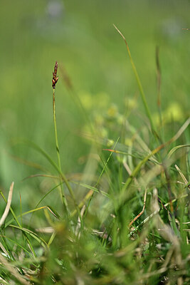 BUITEN BEELD Foto: 446976