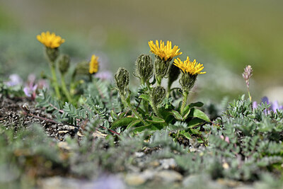 BUITEN BEELD Foto: 446991