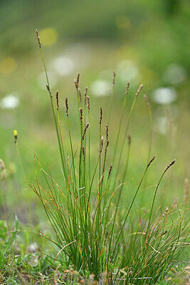 BUITEN BEELD Foto: 446992