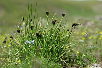 BUITEN BEELD Foto: 446996