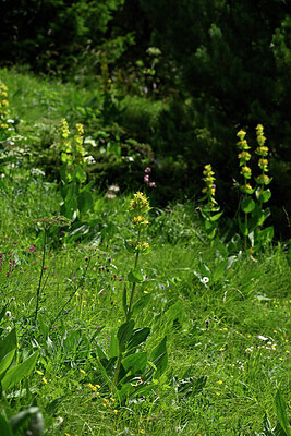 BUITEN BEELD Foto: 446997
