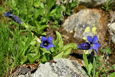BUITEN BEELD Foto: 447001
