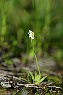 BUITEN BEELD Foto: 447006