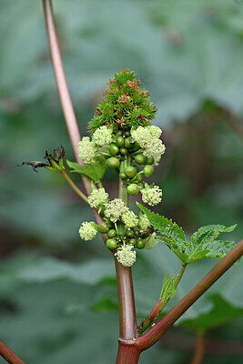 BUITEN BEELD Foto: 447009