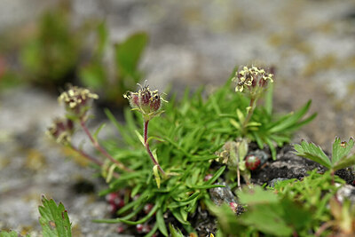 BUITEN BEELD Foto: 447016