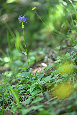 BUITEN BEELD Foto: 447027