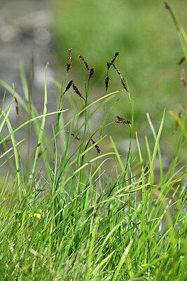 BUITEN BEELD Foto: 447029