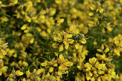 BUITEN BEELD Foto: 447044