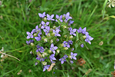 BUITEN BEELD Foto: 447056