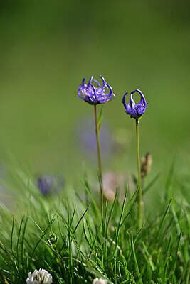 BUITEN BEELD Foto: 447063