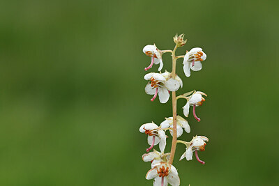 BUITEN BEELD Foto: 447064