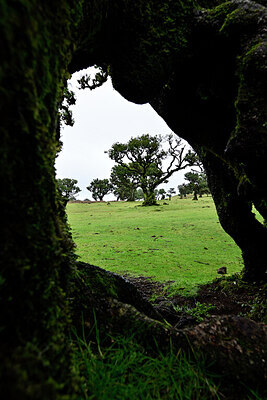 BUITEN BEELD Foto: 447072