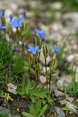 BUITEN BEELD Foto: 447085