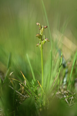 BUITEN BEELD Foto: 447097