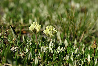 BUITEN BEELD Foto: 447107