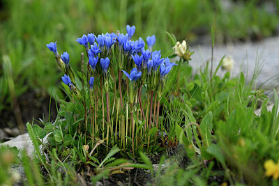 BUITEN BEELD Foto: 447109