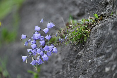 BUITEN BEELD Foto: 447116