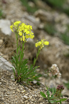 BUITEN BEELD Foto: 447131