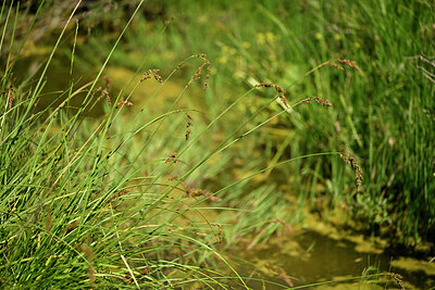 BUITEN BEELD Foto: 447147