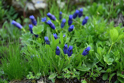 BUITEN BEELD Foto: 447148